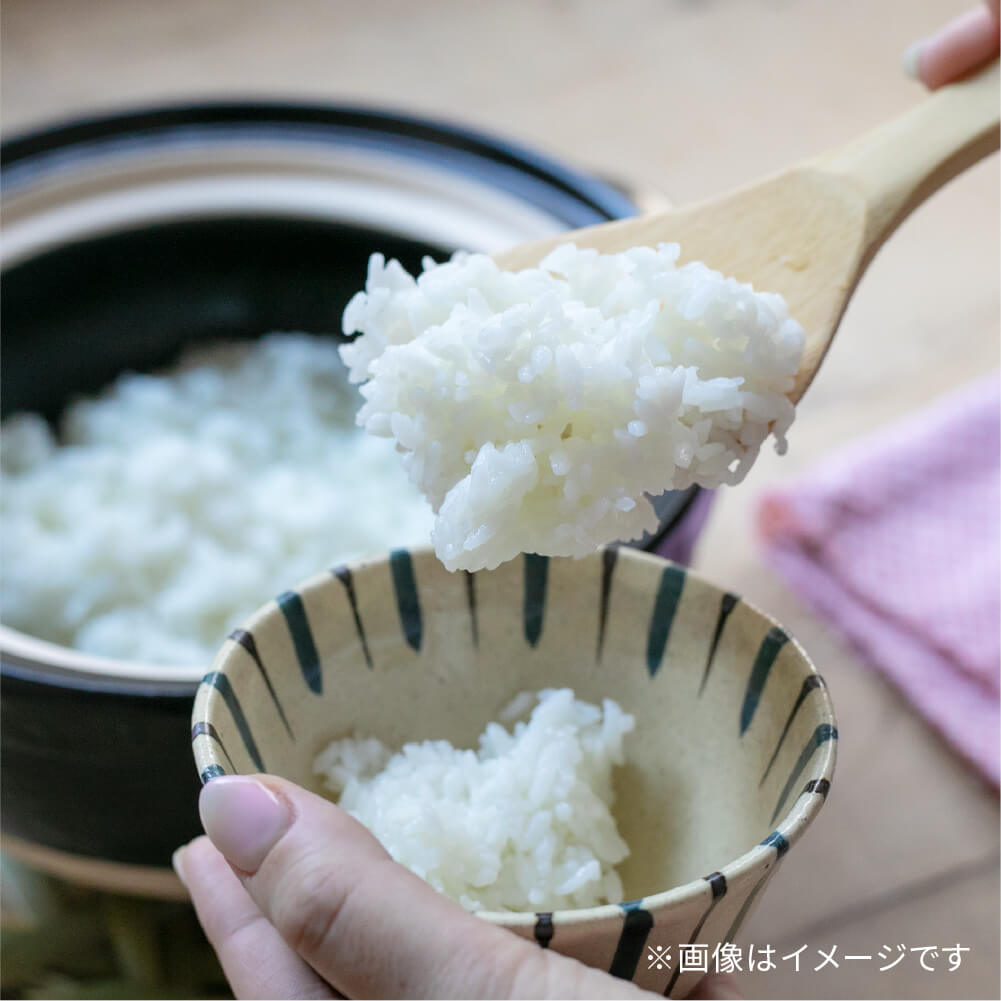 マーナ 極めしゃもじ　２種