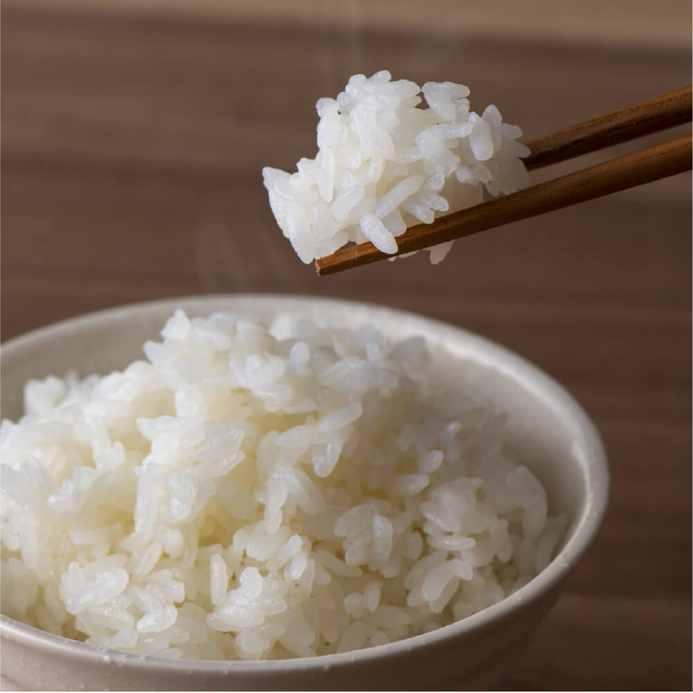 たいせい窯 おひつ 中 ２種