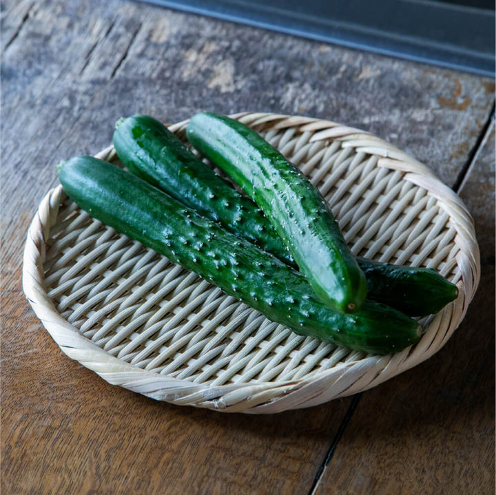 かごや 丸盆ざる 21cm
